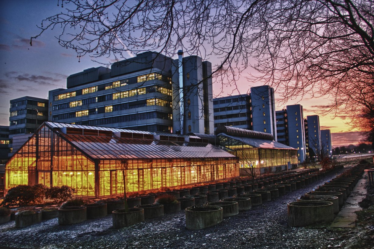 Campus Uni Bielefeld